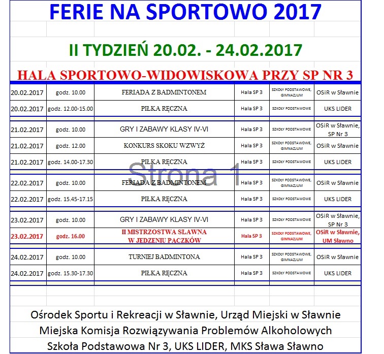 ferie-na-sportowo-osir-2017-i-i-ii-tydzien-5198.jpg