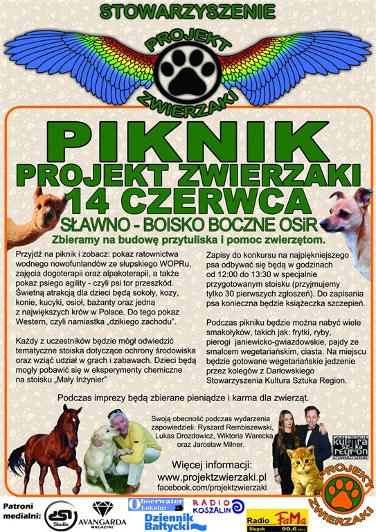 piknik-projekt-zwierzaki-5385.jpg