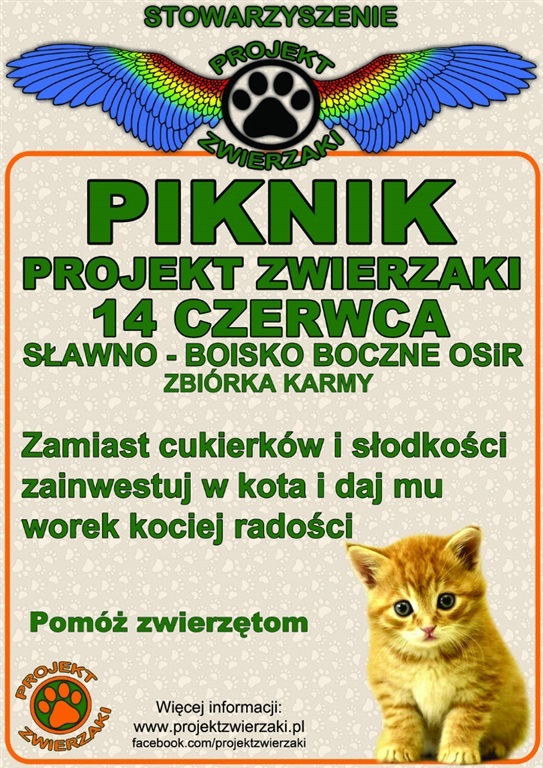 piknik-projekt-zwierzaki-5386.jpg