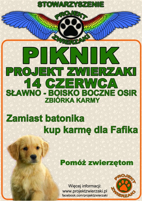 piknik-projekt-zwierzaki-5387.jpg